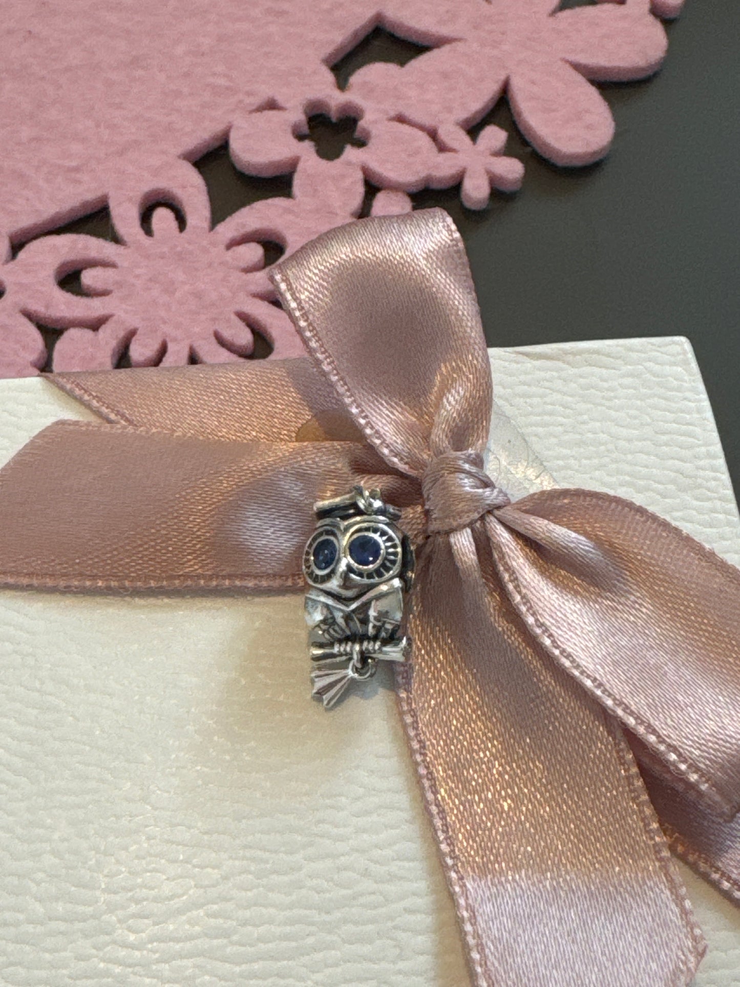 Genuine Pandora Graduation Owl School Learning Degree Charm