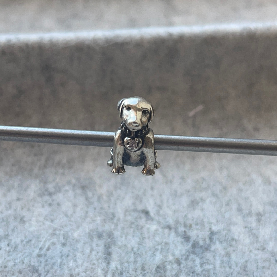 Pandora labrador 2025