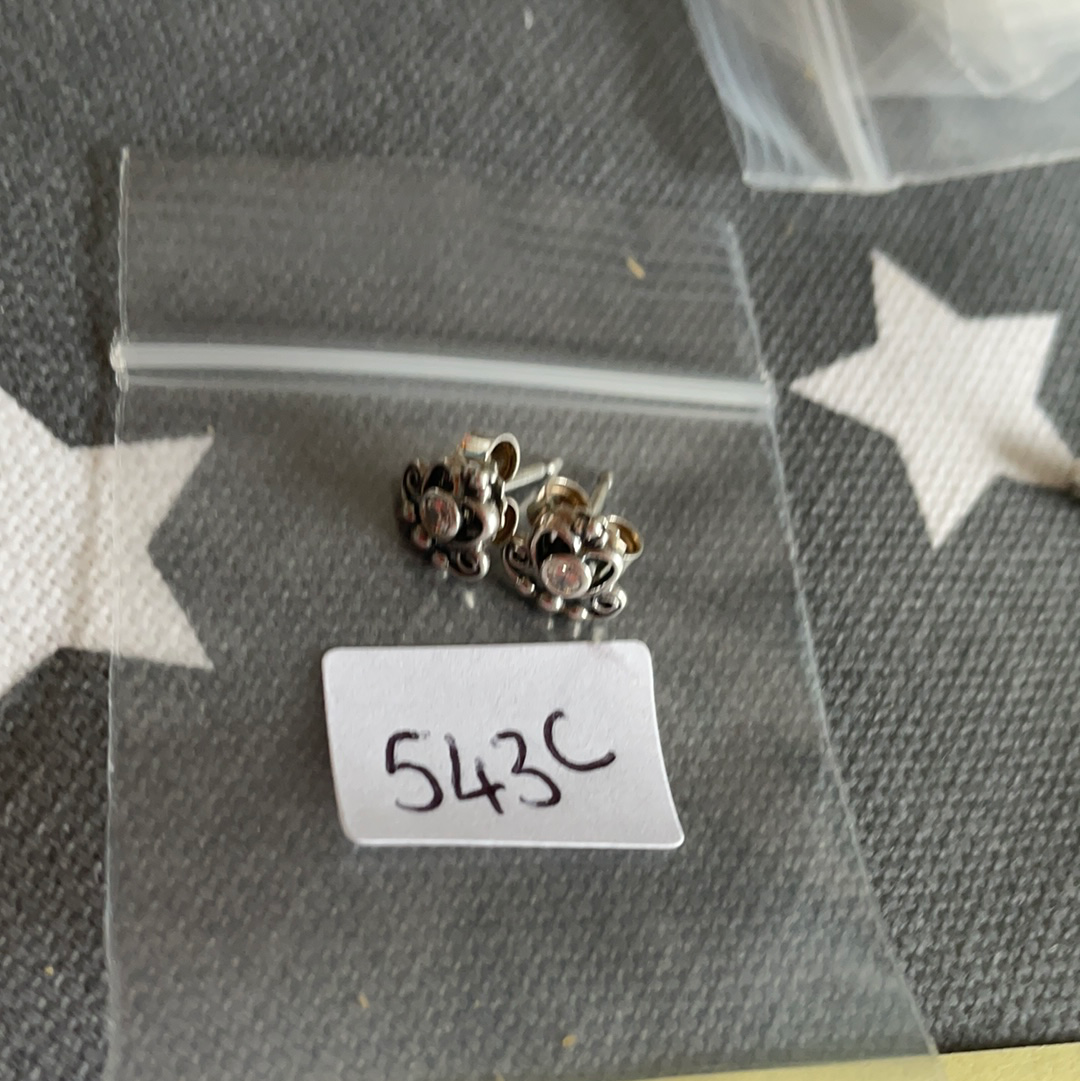 Pandora 2025 fairytale earrings