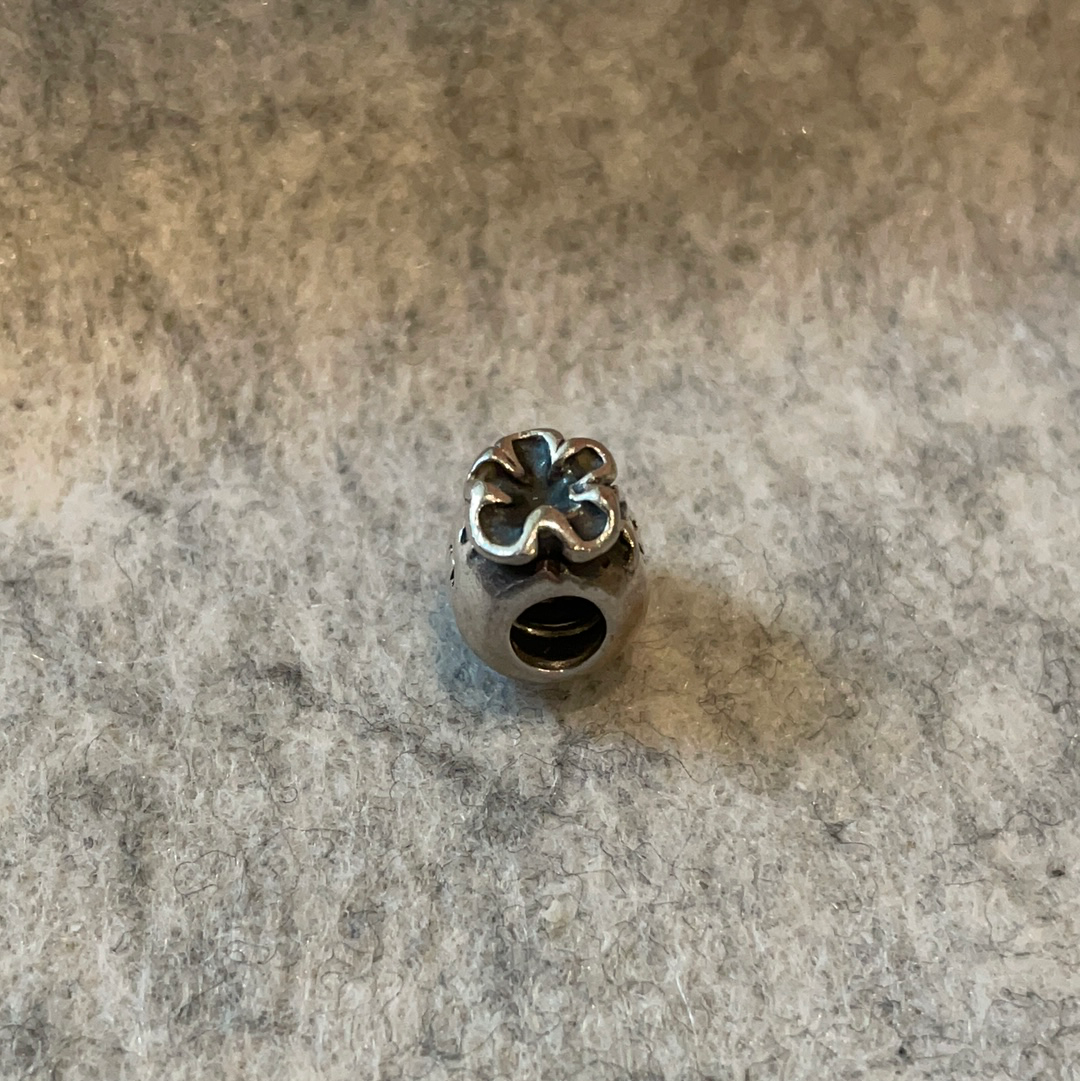 Pandora 2025 money charm