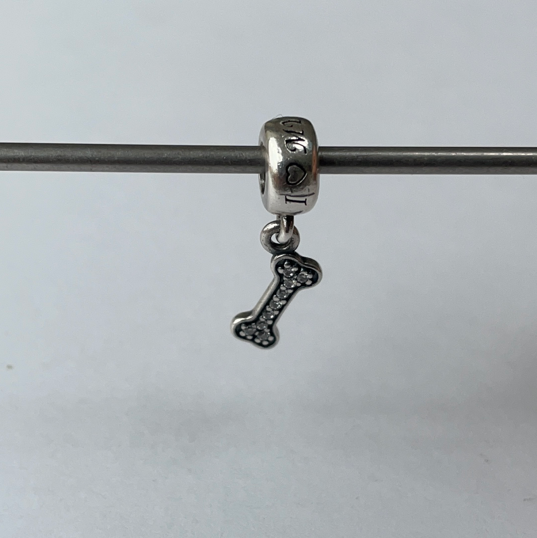 Pandora i 2025 love my dog