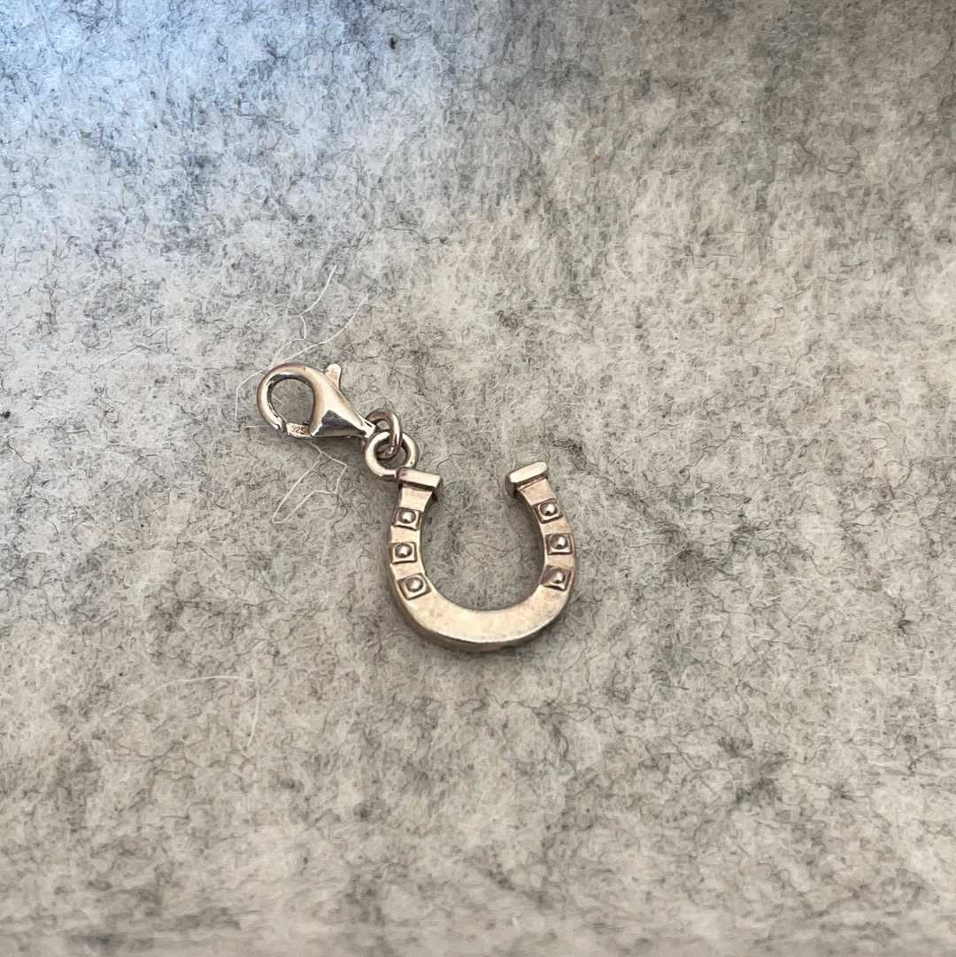 Thomas sabo hot sale horseshoe charm