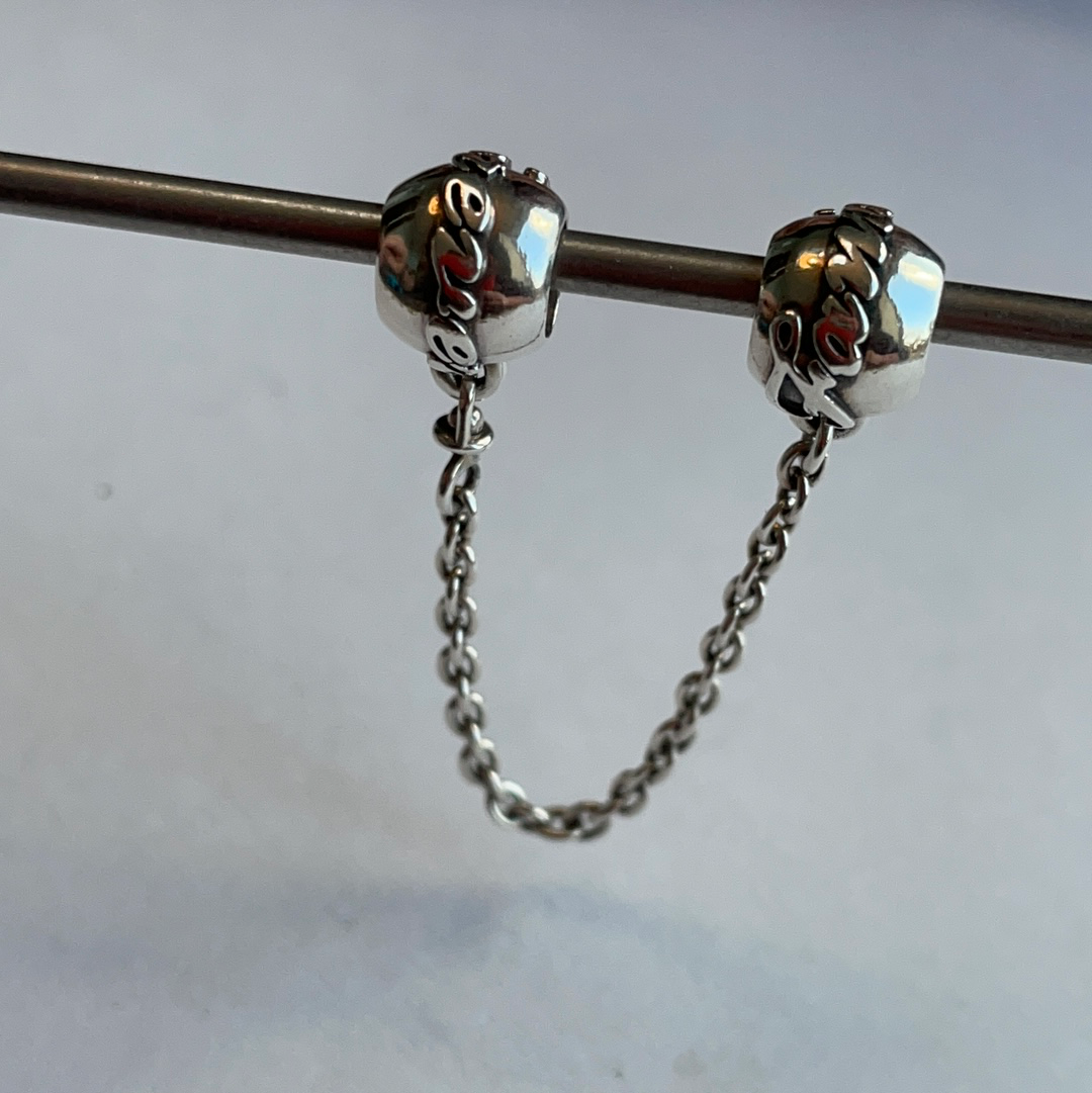 Pandora safety chain family 2025 forever