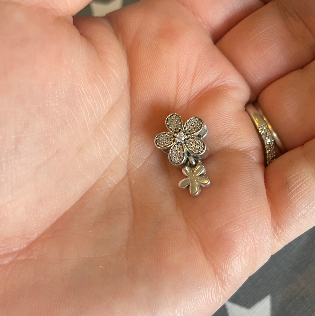 Pandora daisy 2025 meadow charm